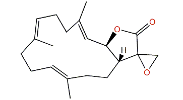 Lobophyolide A